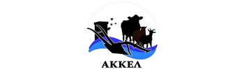 ΑΚΚΕΛ